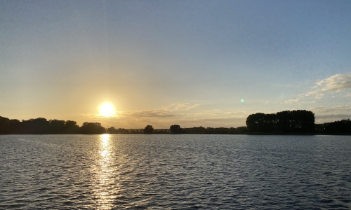 IMG 0564