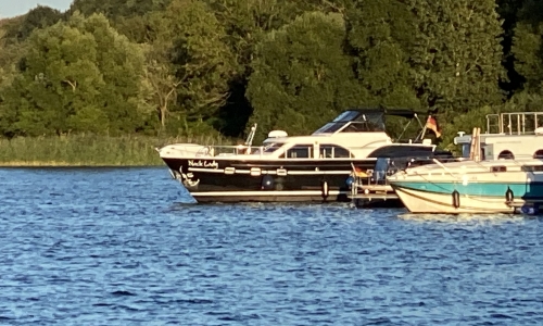 IMG 0637