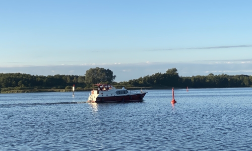 IMG 0746