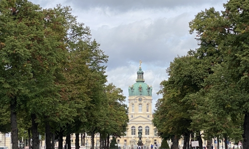 IMG 0937
