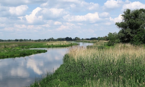 Idylle