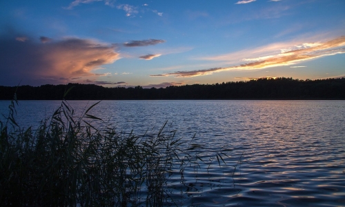 Müritz2