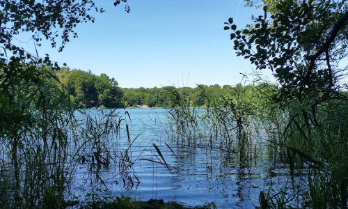 lake-2