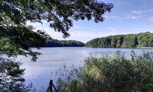 lake
