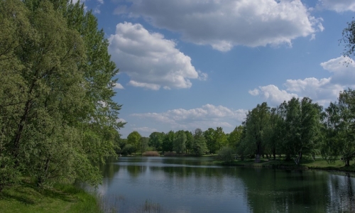 nature