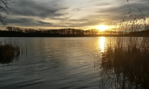 werder-pan